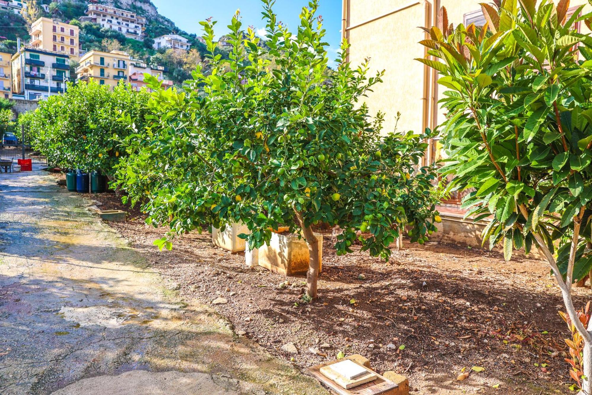 B&B Giardino Dei Cedri Trabia Exterior photo